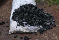 Trafic: 1.470 tonnes de charbon de bois saisies en 2012 (journal)