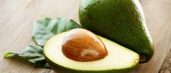 L'avocat pourrait contribuer grandement à la perte et au maintien du poids