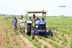 Le Japon offre 8.083 tonnes d’engrais au Sénégal