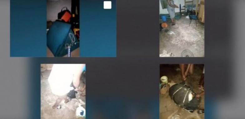 INSÉCURITÉ À L'UGB : Les étudiants réitèrent leurs doléances et mettent en garde INSÉCURITÉ À L'UGB : Les étudiants réitèrent leurs doléances et mettent en garde