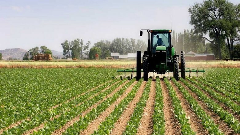 Sénégal : Plusieurs financements en faveur de l’agriculture.