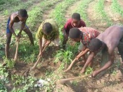 Trafic d’enfants : Un camion arrêté au Sénégal avec 22 jeunes guinéens Trafic d’enfants : Un camion arrêté au Sénégal avec 22 jeunes guinéens