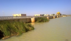 Aménagement des surfaces cultivables : Le chercheur Ousmane Thiam déplore la sous-exploitation du potentiel hydro-agricole de Diama Aménagement des surfaces cultivables : Le chercheur Ousmane Thiam déplore la sous-exploitation du potentiel hydro-agricole de Diama