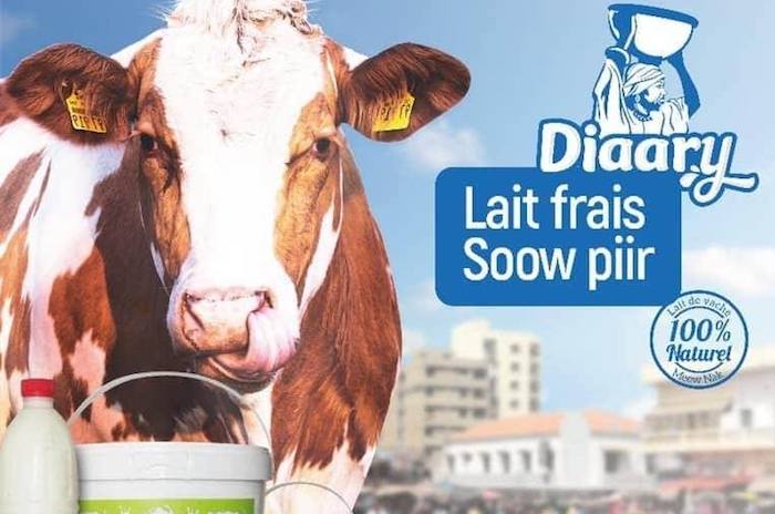 En soutien à Gas El Salvador, des activistes appellent à boycotter le lait "Diaary"