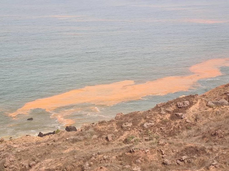 POLLUTION AU LARGE DES CÔTES SÉNÉGALAISES : Greenpeace Afrique demande au gouvernement de mettre à la disposition du public les résultats globaux de l’enquête