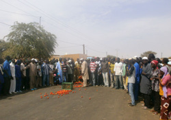 Saint-Louis: des producteurs de tomate souhaitent la réouverture de la deuxième usine de Dagana Saint-Louis: des producteurs de tomate souhaitent la réouverture de la deuxième usine de Dagana