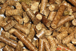 Aliment de bétail : 5.000 sacs de paille d’arachide offerts aux populations de Gnith et de Ronkh