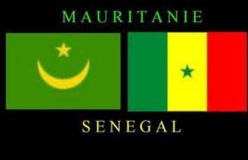 Saint-Louis: Réunion de concertation entre la Mauritanie et le Sénégal sur la transhumance transfrontalière. Saint-Louis: Réunion de concertation entre la Mauritanie et le Sénégal sur la transhumance transfrontalière.