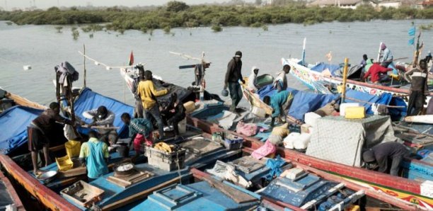 Libération des 300 pêcheurs arrêtés en Guinée : le Sénégal a casqué plus de 50 millions FCFA Libération des 300 pêcheurs arrêtés en Guinée : le Sénégal a casqué plus de 50 millions FCFA