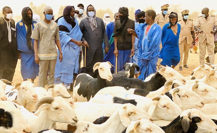 Fermeture des frontières du Mali : le Sénégal se rabat sur la Mauritanie pour s'approvisionner en moutons
