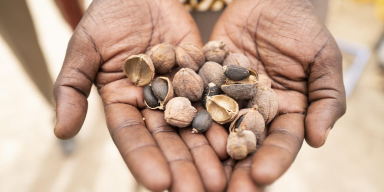 SYLVAIN CHERKAOUI POUR «LE MONDE » SYLVAIN CHERKAOUI POUR «LE MONDE »