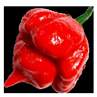 Le piment et ses bienfaits sur la santé Le piment et ses bienfaits sur la santé