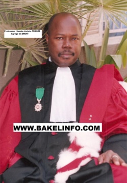 OPINION: Mary Teuw Niane, taisez vous donc ! - Par Professeur Samba TRAORE OPINION: Mary Teuw Niane, taisez vous donc ! - Par Professeur Samba TRAORE