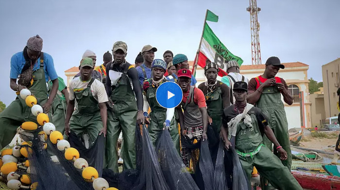 « Tôt ou tard, nos enfants prendront la route de l’Europe » : à Saint-Louis du Sénégal, à la recherche du poisson perdu