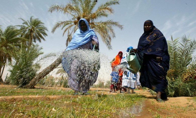 La Mauritanie a obtenu "suffisamment d’engrais pour la campagne agricole" La Mauritanie a obtenu "suffisamment d’engrais pour la campagne agricole"