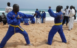 Saint-Louis abrite les 30 et 31 mai le festival des arts, de la culture et des arts martiaux Saint-Louis abrite les 30 et 31 mai le festival des arts, de la culture et des arts martiaux