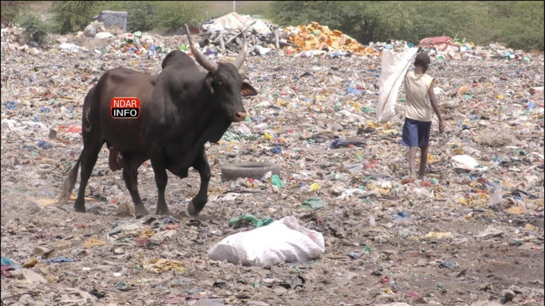 Décharge de Mbeubeuss et CET de Gandon : L’État à pied-d’œuvre pour éradiquer des "bombes écologiques" Décharge de Mbeubeuss et CET de Gandon : L’État à pied-d’œuvre pour éradiquer des "bombes écologiques"