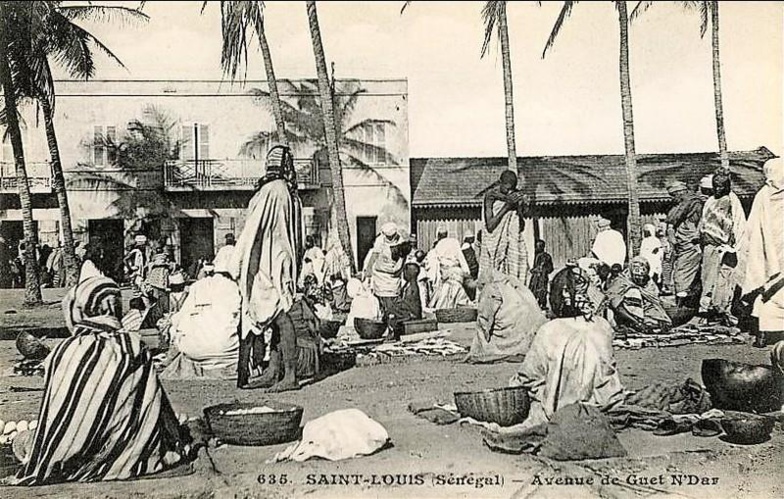Histoire générale du Sénégal : 14 volumes remis au ministre de la Culture