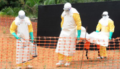 Guinée : Ebola a tué plus de 200 personnes depuis janvier, selon l'OMS