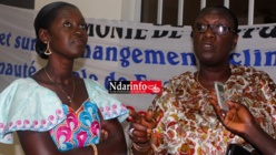 Projet Pilote sur les changements climatiques : les Alumni satisfaits des résultats. Projet Pilote sur les changements climatiques : les Alumni satisfaits des résultats.