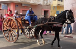 Découverte : Saint-Louis, une cité au charme pittoresque Découverte : Saint-Louis, une cité au charme pittoresque