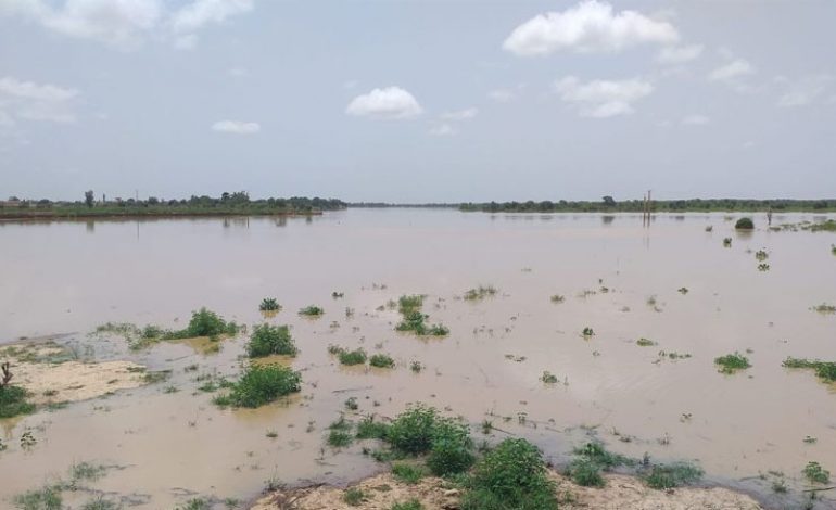 Fleuve Sénégal : la cote d'alerte dépassée à Matam