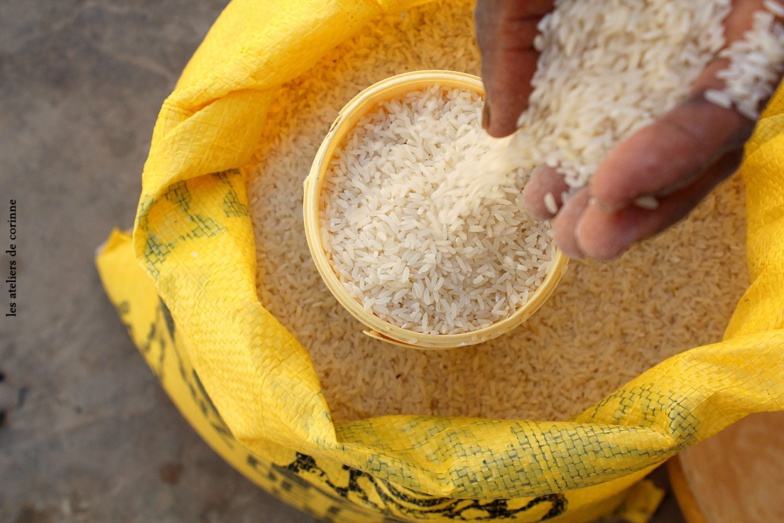 Retard dans la subvention destinée aux producteurs de riz de la vallée : Le président Macky Sall interpellé !