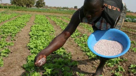 Mauritanie : le gouvernement décide de subventionner les prix des engrais à hauteur de 65%