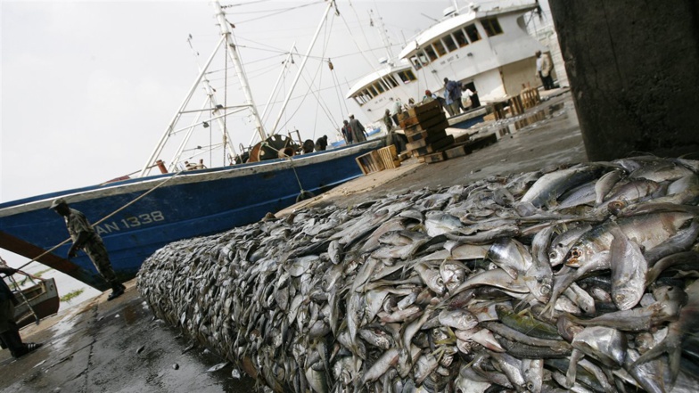 Pêche illicite : 35 à 63% des stocks péchés à des zones non durables
