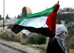 SOLIDARITÉ AVEC LE PEUPLE PALESTINIEN, POUR L’ARRET DES ASSASSINATS PAR L’ETAT D'ISRAEL                 