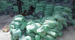 Assistance d’urgence à 12.000 ménages agricoles vulnérables : Un projet de la Fao de 243 millions de FCfa lancé à Saint-Louis Assistance d’urgence à 12.000 ménages agricoles vulnérables : Un projet de la Fao de 243 millions de FCfa lancé à Saint-Louis