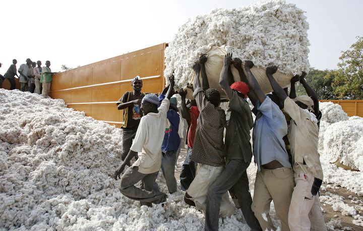 Sahel : Mauritanie, la nouvelle route du coton malien Sahel : Mauritanie, la nouvelle route du coton malien
