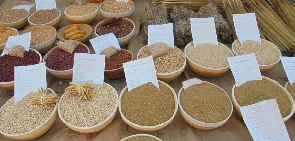 Mil, maïs, niébé et autres produits locaux plus chers que ceux importés : le consommer local à rude épreuve Mil, maïs, niébé et autres produits locaux plus chers que ceux importés : le consommer local à rude épreuve