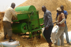 La Compagnie agricole de Saint-Louis souhaite une exonération sur la TVA La Compagnie agricole de Saint-Louis souhaite une exonération sur la TVA