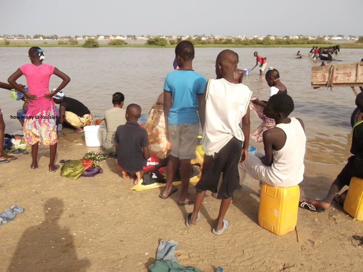 Pénurie d'eau à Saint-Louis: la grande ruée vers le fleuve (vidéo) Pénurie d'eau à Saint-Louis: la grande ruée vers le fleuve (vidéo)