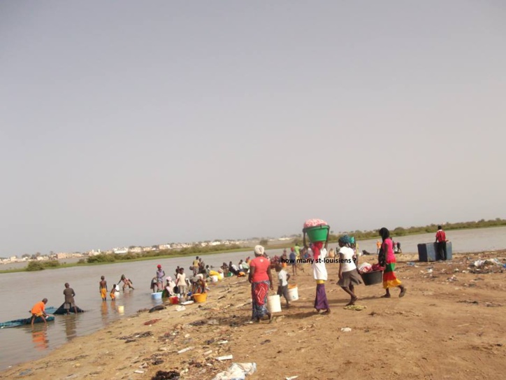 Pénurie d'eau à Saint-Louis: la grande ruée vers le fleuve (vidéo) Pénurie d'eau à Saint-Louis: la grande ruée vers le fleuve (vidéo)