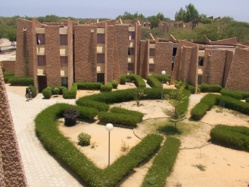 Saint-Louis - Infections sexuellement transmissibles : plus de 250 cas guéris à l'UGB Saint-Louis - Infections sexuellement transmissibles : plus de 250 cas guéris à l'UGB