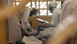 Ebola pourrait se propager "comme un feu de forêt" Ebola pourrait se propager "comme un feu de forêt"