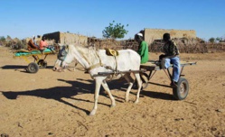 Des Podorois à la merci des "cercueils" roulants. Des Podorois à la merci des "cercueils" roulants.