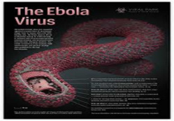 ALERTE: les signes et symptômes de la maladie à virus EBOLA (OMS)