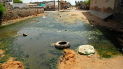 Saint-Louis: 818 milliards de FCFA à mobiliser pour faire face aux inondations, d'ici 2080 (étude) Saint-Louis: 818 milliards de FCFA à mobiliser pour faire face aux inondations, d'ici 2080 (étude)