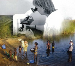 SAINT-LOUIS - BILHARZIOSE : « le Bilhvax testé à grande échelle sur des enfants de la région » avec « des résultats sont encourageants ». SAINT-LOUIS - BILHARZIOSE : « le Bilhvax testé à grande échelle sur des enfants de la région » avec « des résultats sont encourageants ».