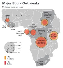 Ebola: la Guinée ferme ses frontières terrestres avec Liberia et Sierra Leone