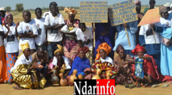 MCA Nord : vers une campagne de reboisement et de marquage des zones de vocation MCA Nord : vers une campagne de reboisement et de marquage des zones de vocation