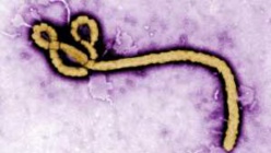 RDC: les deux premières victimes confirmées d’Ebola
