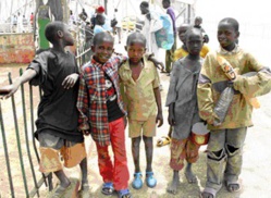 Ebola vs talibé: Qui pour conscientiser les bouts de bois de Dieu ? (Par Yacine Dieng)