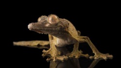 Une expérience dans l'espace tourne mal Une expérience dans l'espace tourne mal