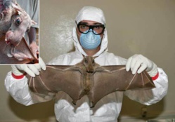 L’épidémie au virus Ebola – Un rappel divin !!! Par DOCTEUR MOUAMADOU BAMBA NDIAYE