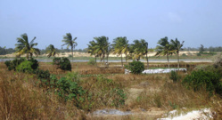 AGRICULTURE: Le centre expérimental de Ndiol manque de magasins de stockage (directeur) AGRICULTURE: Le centre expérimental de Ndiol manque de magasins de stockage (directeur)