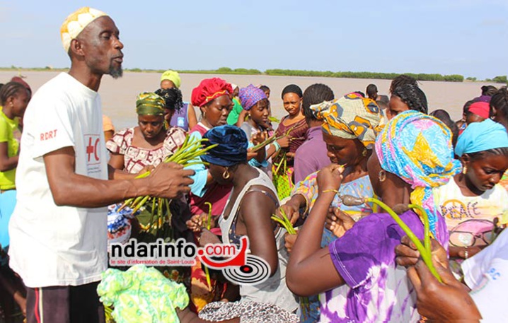 Ahmed Sène DIAGNE explique aux femmes, comment planter les palétuviers.